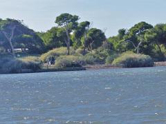 183 D16 BANDOL-1_000062